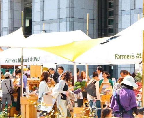 地摊经济火爆兴起 国外如何摆摊卖农产品