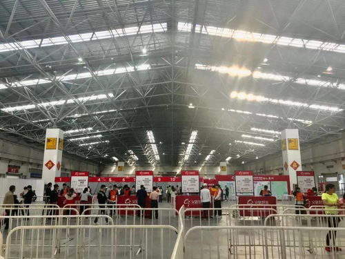 万人齐聚 共赴征途——2020义乌马拉松报名正式启动